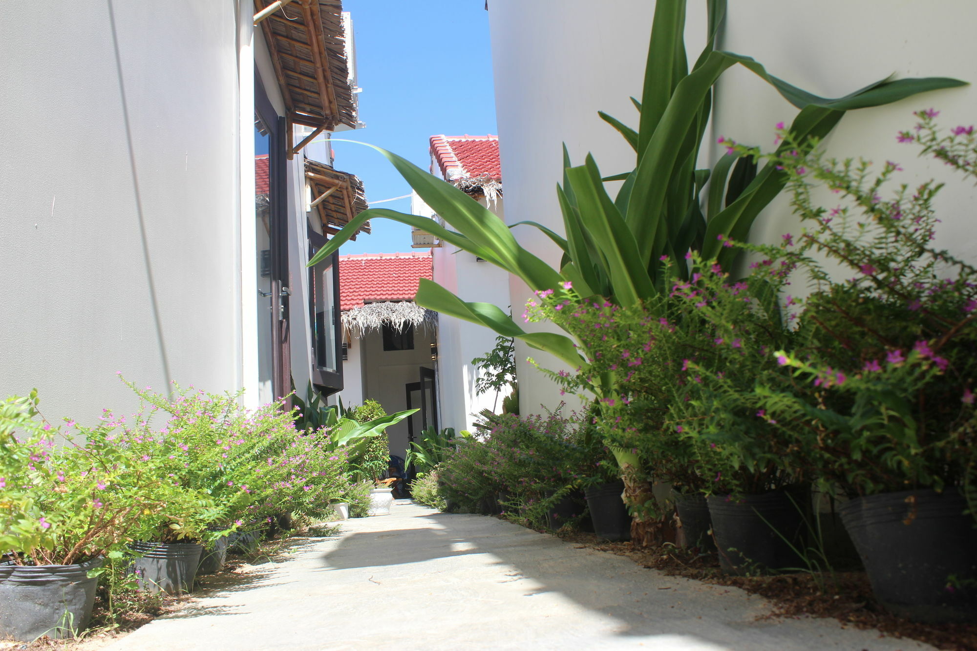 Lido Villa Χόι Αν Εξωτερικό φωτογραφία